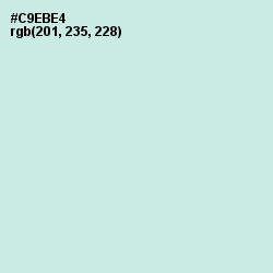 #C9EBE4 - Jagged Ice Color Image
