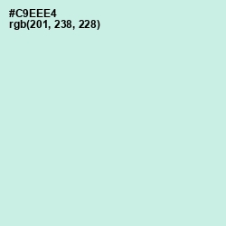 #C9EEE4 - Jagged Ice Color Image