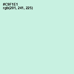 #C9F1E1 - Mint Tulip Color Image