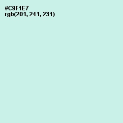 #C9F1E7 - Mint Tulip Color Image