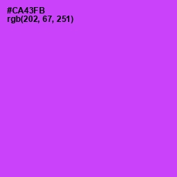 #CA43FB - Heliotrope Color Image