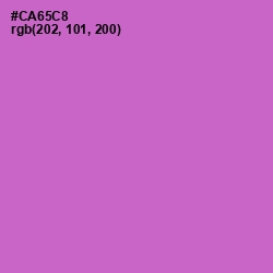 #CA65C8 - Orchid Color Image