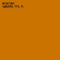 #CA7301 - Indochine Color Image