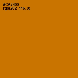 #CA7400 - Indochine Color Image