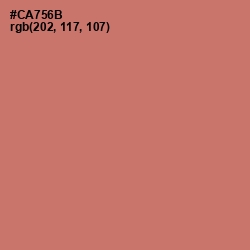 #CA756B - Contessa Color Image