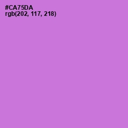 #CA75DA - Orchid Color Image