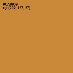 #CA8939 - Brandy Punch Color Image