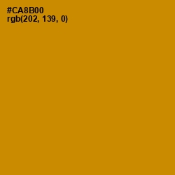 #CA8B00 - Pizza Color Image