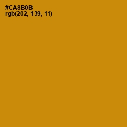 #CA8B0B - Pizza Color Image