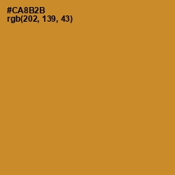 #CA8B2B - Brandy Punch Color Image