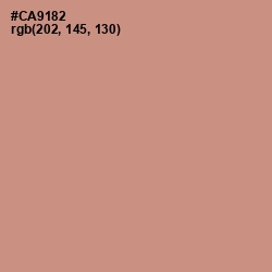 #CA9182 - My Pink Color Image