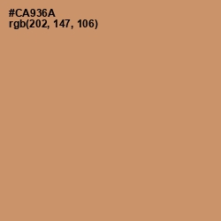 #CA936A - Antique Brass Color Image