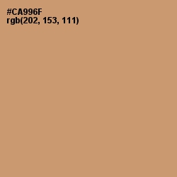 #CA996F - Whiskey Color Image