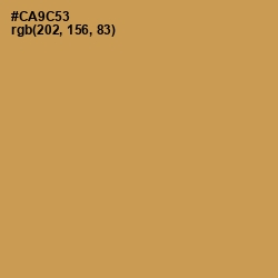 #CA9C53 - Twine Color Image