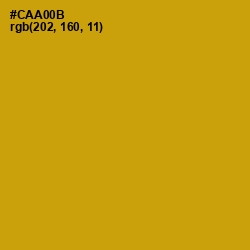 #CAA00B - Buddha Gold Color Image