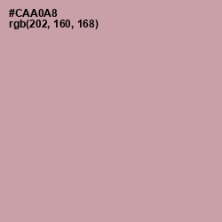 #CAA0A8 - Bison Hide Color Image