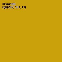 #CAA10B - Buddha Gold Color Image