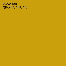 #CAA10D - Buddha Gold Color Image