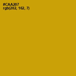 #CAA207 - Buddha Gold Color Image