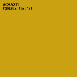 #CAA211 - Buddha Gold Color Image