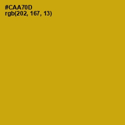 #CAA70D - Buddha Gold Color Image