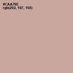 #CAA79E - Eunry Color Image