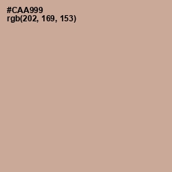 #CAA999 - Eunry Color Image