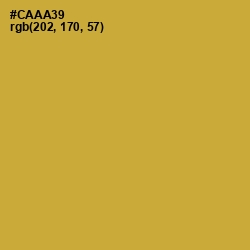 #CAAA39 - Old Gold Color Image