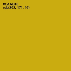 #CAAB10 - Buddha Gold Color Image