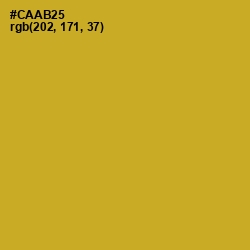 #CAAB25 - Hokey Pokey Color Image