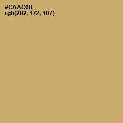 #CAAC6B - Laser Color Image