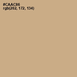 #CAAC86 - Tan Color Image