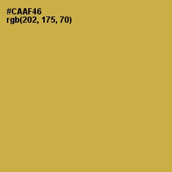 #CAAF46 - Roti Color Image