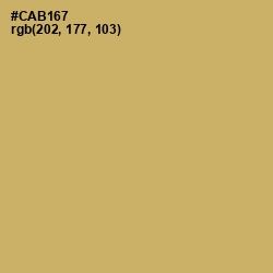 #CAB167 - Laser Color Image