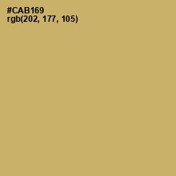#CAB169 - Laser Color Image