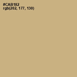 #CAB182 - Sorrell Brown Color Image