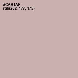 #CAB1AF - Bison Hide Color Image