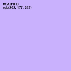 #CAB1FD - Perfume Color Image