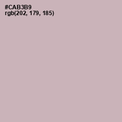 #CAB3B9 - Cold Turkey Color Image