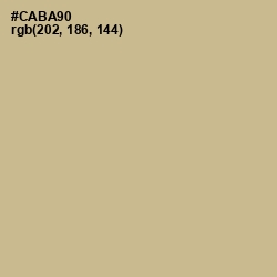 #CABA90 - Indian Khaki Color Image