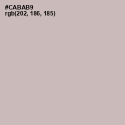 #CABAB9 - Cold Turkey Color Image