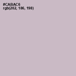 #CABAC6 - Pale Slate Color Image