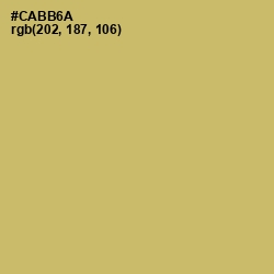 #CABB6A - Laser Color Image