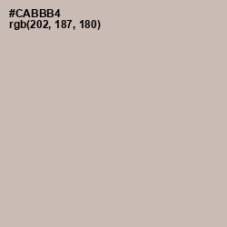 #CABBB4 - Cold Turkey Color Image