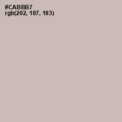 #CABBB7 - Cold Turkey Color Image
