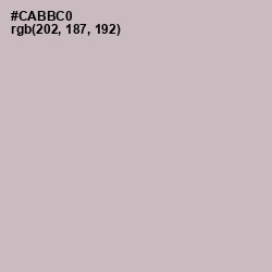 #CABBC0 - Pale Slate Color Image