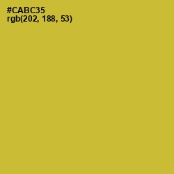 #CABC35 - Earls Green Color Image