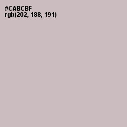 #CABCBF - Cold Turkey Color Image