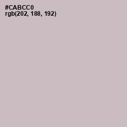 #CABCC0 - Pale Slate Color Image