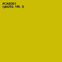 #CABD03 - Galliano Color Image